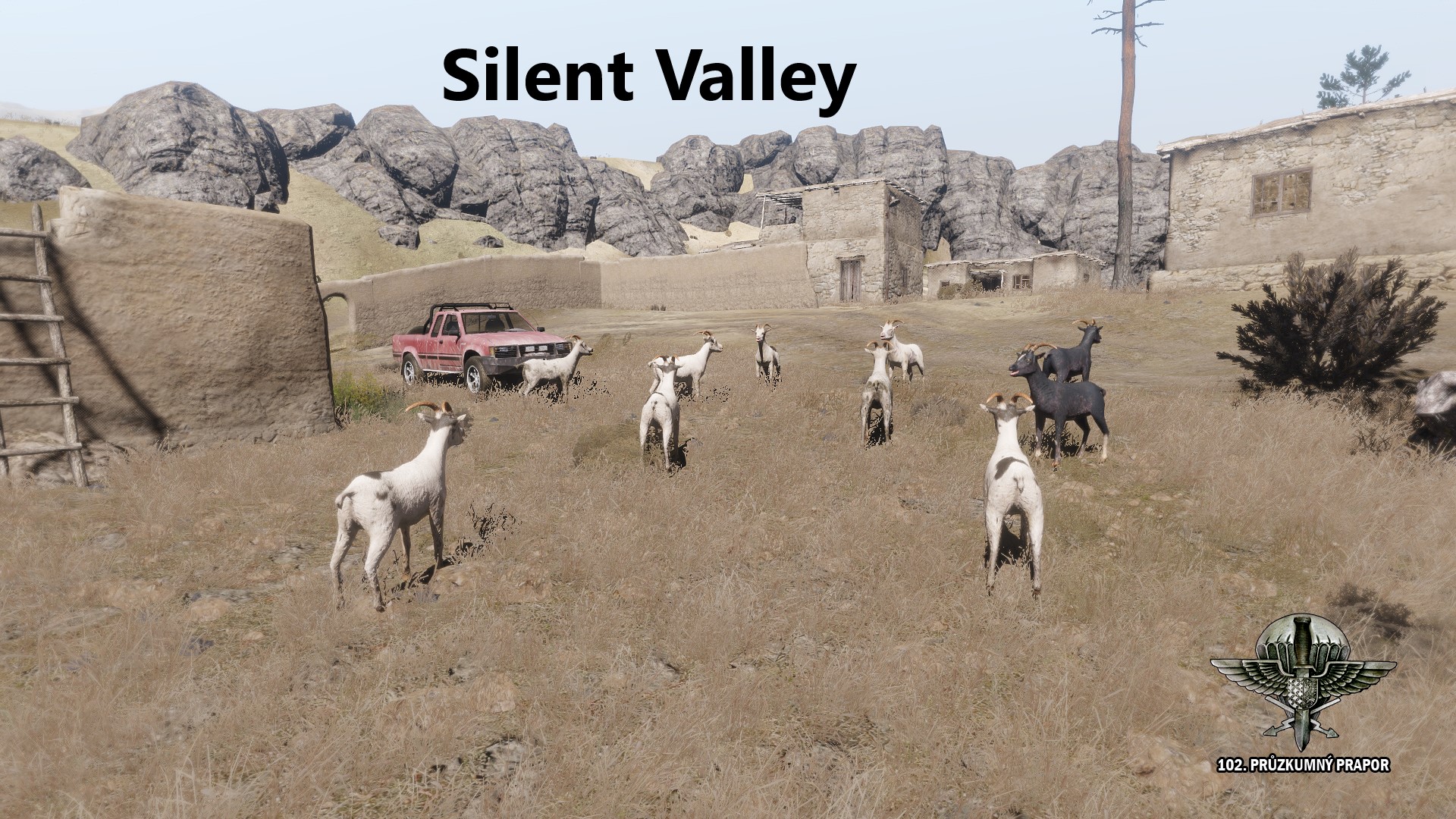 silent valley.jpg
